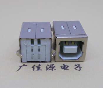 仁布USB BF180度母座 打印机接口 立式直插带赛