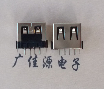 博鳌镇苹果款 USB短体 C款专用 移动电源接口