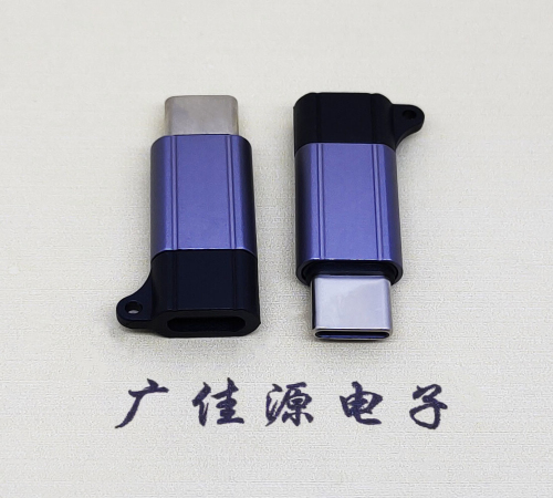 东乡Type-C母转Type-C公 USB3.1 PD100W快冲接口